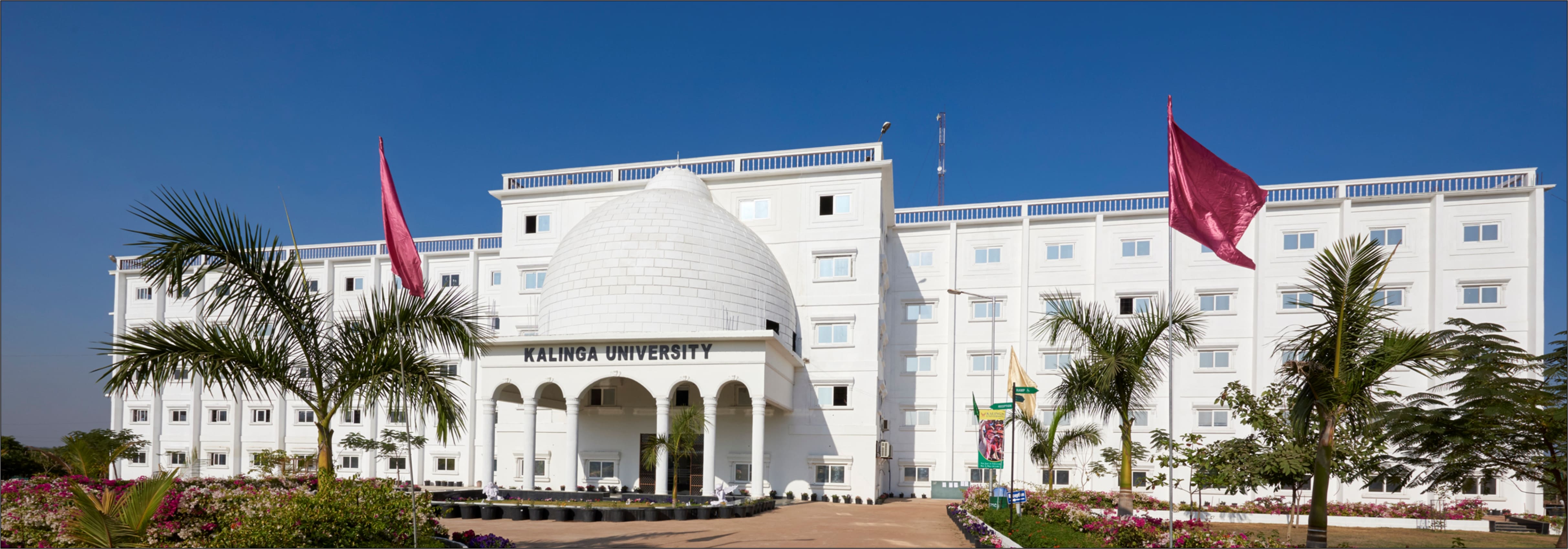 why kalinga university